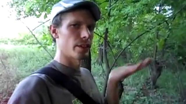 Как жить в прифронтовой зоне. Ответы #4 смотреть онлайн