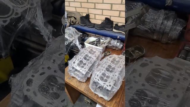 Илья Фёдоров смотреть онлайн