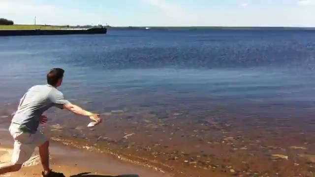 Крутая лягушка смотреть онлайн