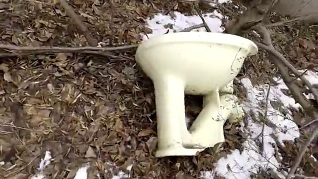 Обращение к Аркадию Давидовичу!(унитаз для Давидовича) смотреть онлайн