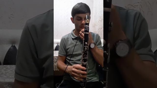 Pash Mnacakanyan/ klarnet /Arevi pes смотреть онлайн