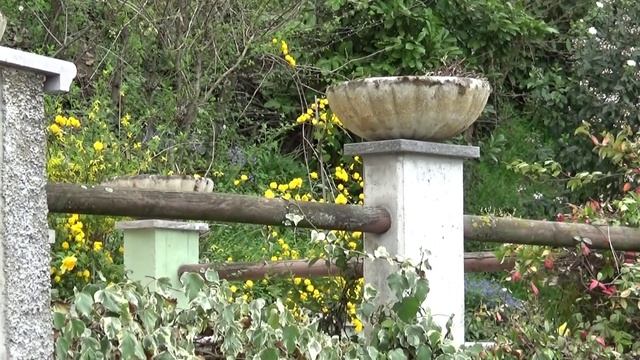 Экомузей Леонардо да Винчи в Падерно Ecomuseo di Leonardo Ponte Paderno Отдых и жизнь в Италии смотреть онлайн