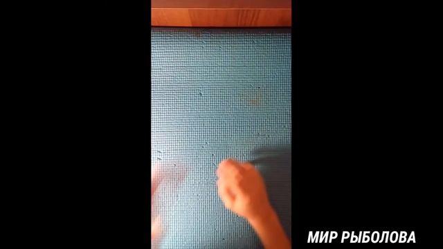 Мое первое видео.Стоит ли новичку покупать дорогие снасти? смотреть онлайн