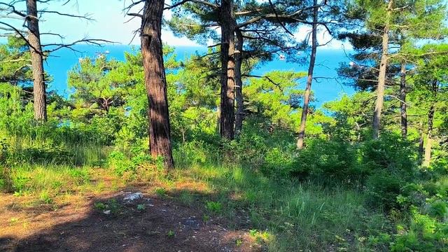 НА ЧЕРНОМ МОРЕ ДИКАРЯМИ НА ОБРЫВЕ СКАЛЫ. ON THE BLACK SEA BY SAVAGES ON A ROCK CLIFF смотреть онлайн