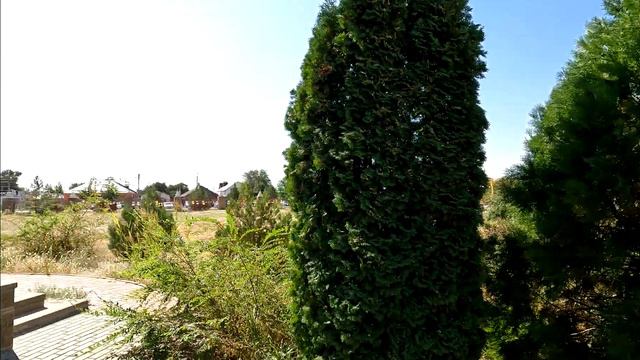 #элиста  #калмыкия