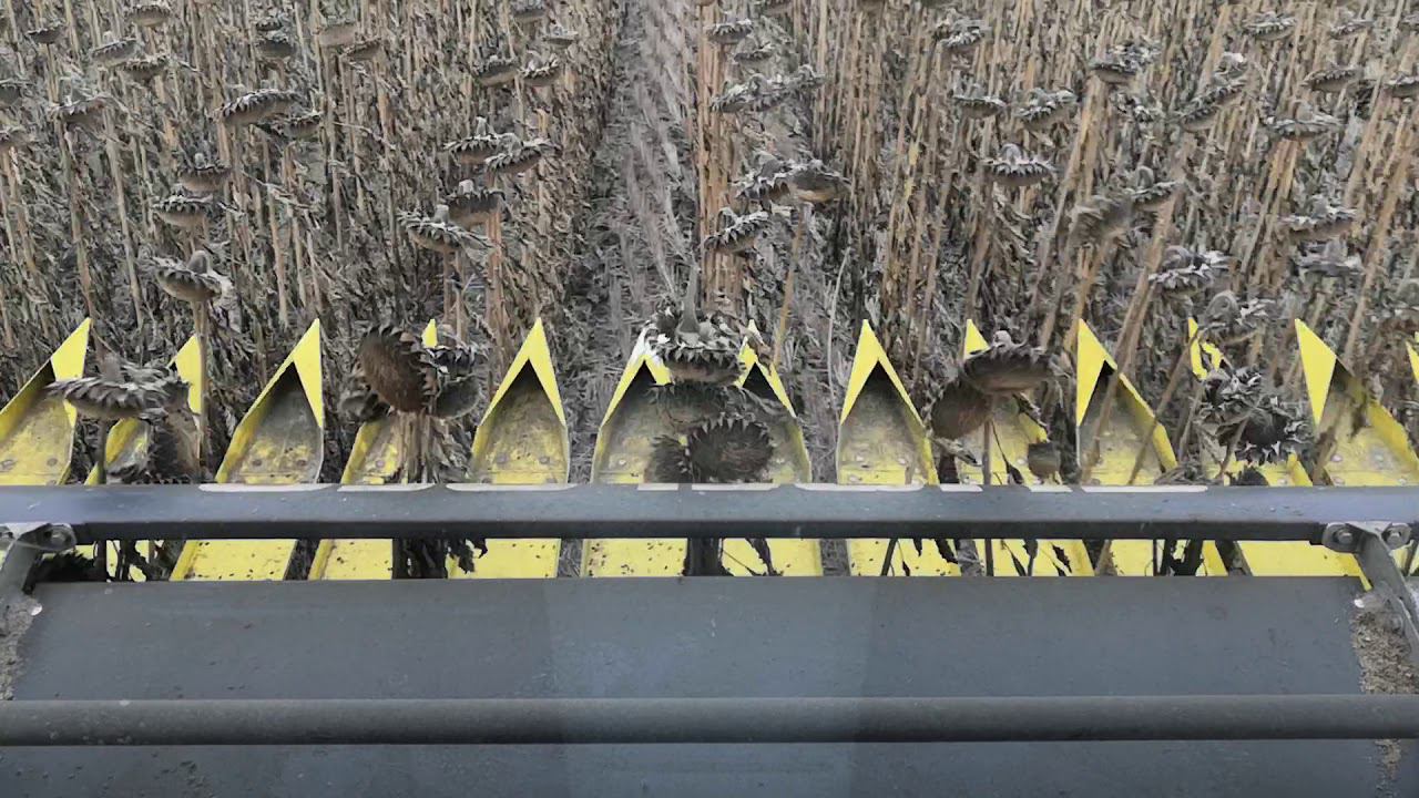 Торум 780. Подсолнечник но-тилл. смотреть онлайн