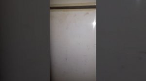 Как убрать наклейки с холодильника.