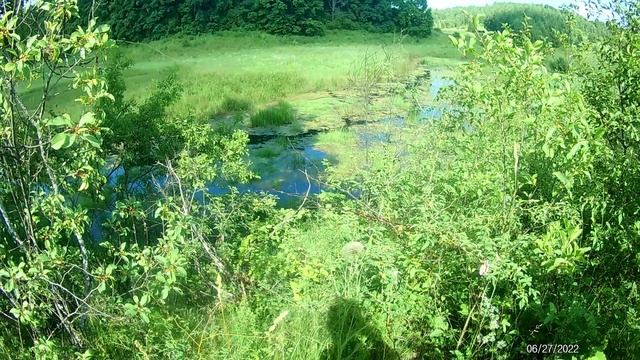 Отличное сено.mp4