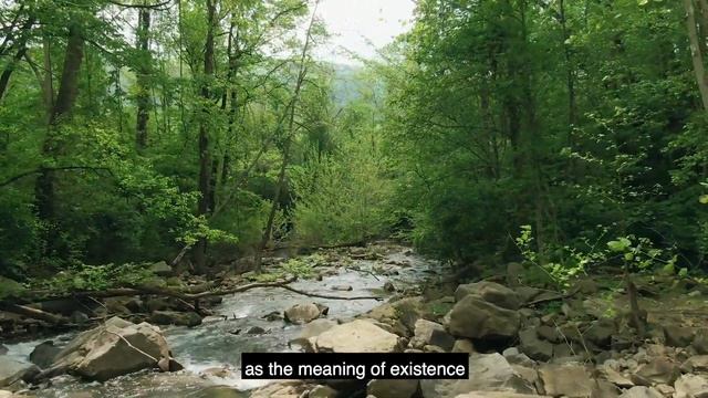 Одиночество в толпе/Loneliness in the Croud смотреть онлайн