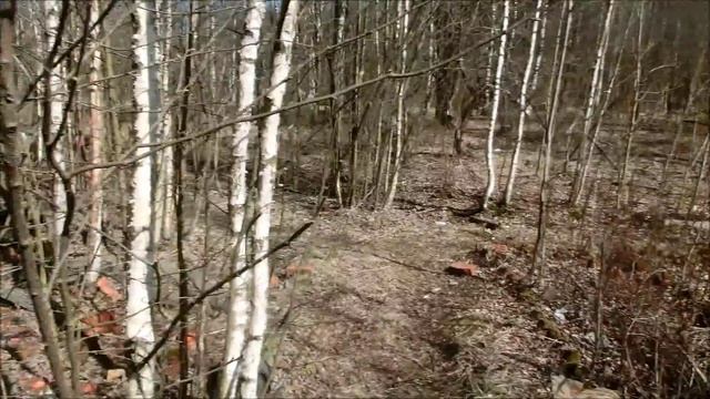 Сталк бывшая дача смотреть онлайн