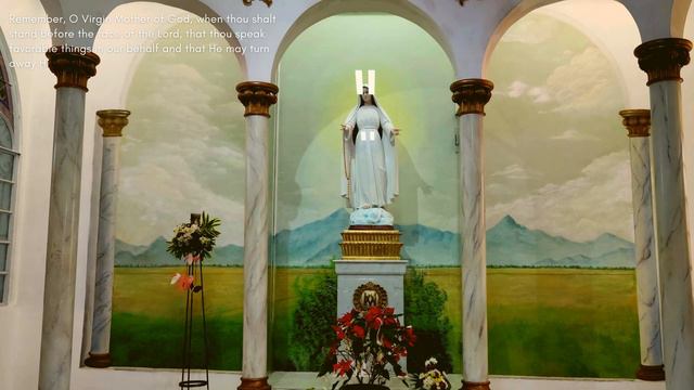 Praying to Mama Mary Mediatrix: A Powerful Intercessor for All смотреть онлайн