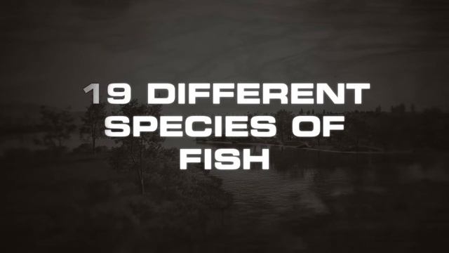 Bass Pro Shops Game Trailer - Fishing Sim World: Bass Pro Shops Edition - Available Now смотреть онлайн