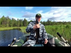 Ловим щуку на летние жерлицы - самоловки