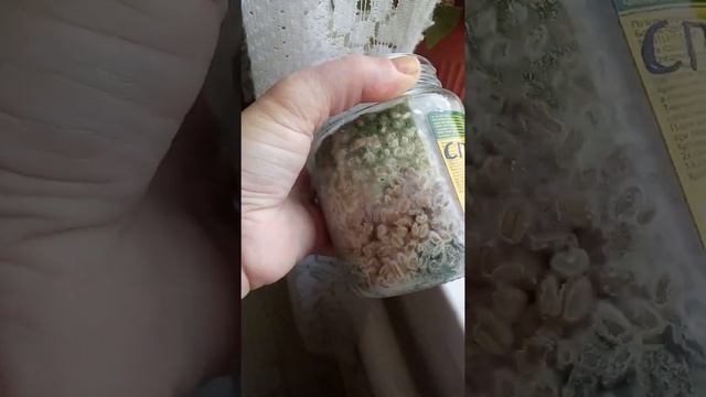 выращено из споробактерина. смотреть онлайн