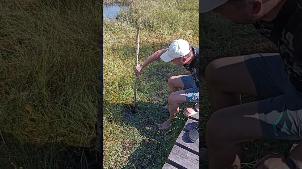 24 августа 2022 г.