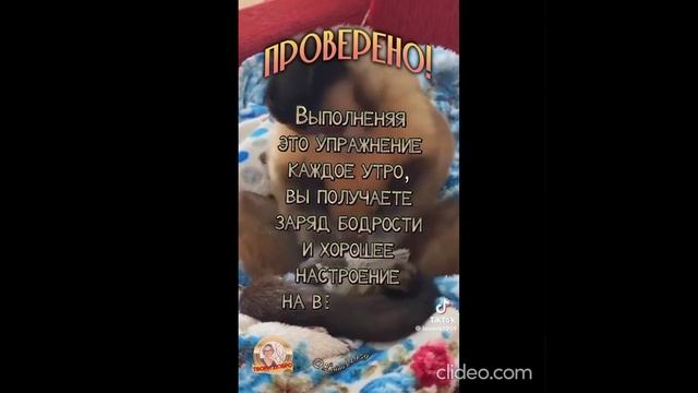 перед работой 09.08 2 смотреть онлайн