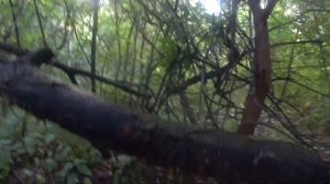 Китайский аналог японской пилы Silky, который в 20 раз дешевле оригинала