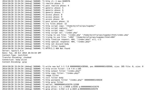nginx wildcard server_name for subdomain gives index.php 404 error смотреть онлайн