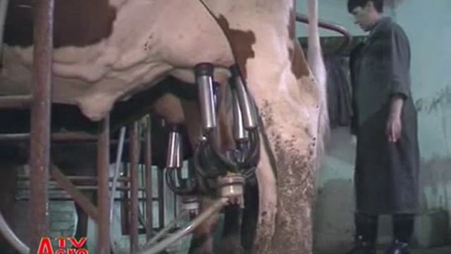 Дояр - профессия не женская смотреть онлайн