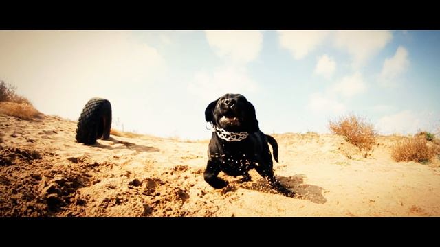 Dima Korkhut | One Way - Jump Day 5 смотреть онлайн