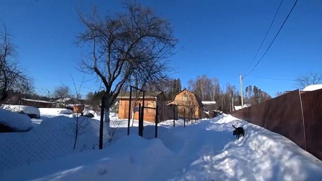 Russian winter vlog: We go to Rustic cabin (dacha) to check our property смотреть онлайн