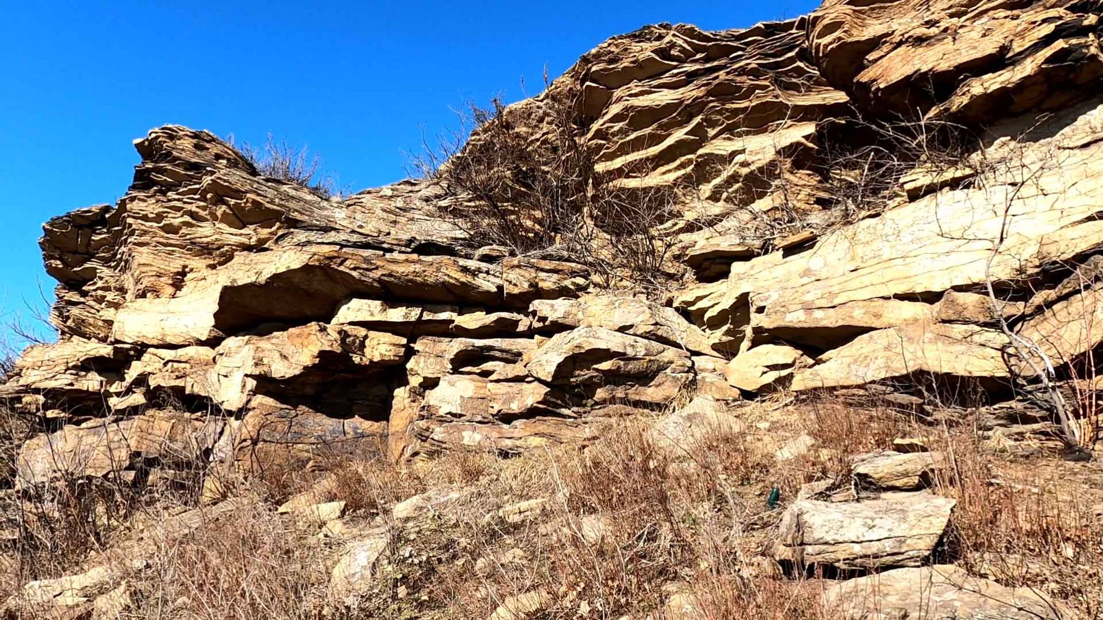 Ландшафтный заказник "Балка Скелевая" смотреть онлайн