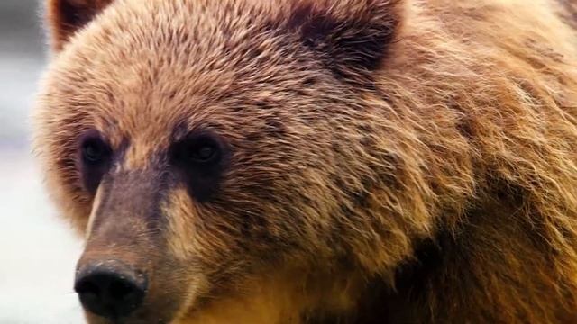 Реклама. БМПК. Будет очень вкусно.