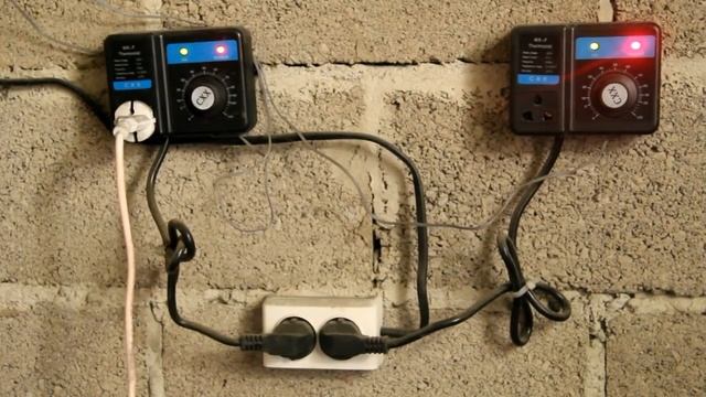 Тепличный бизнес смотреть онлайн