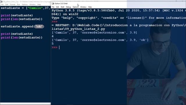 09 Python - Listas y sus métodos len, append, remove смотреть онлайн