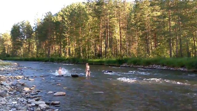 Нерест Лосося. Алтай 2016 смотреть онлайн