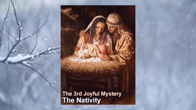 🌹1st Saturday Rosary & Prayers🌹Day 6 - NOVENA to St. Colette, Joyful Mysteries of the Holy Rosary смотреть онлайн