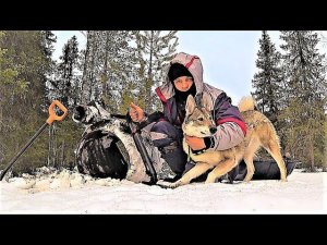 НЕОБЫЧНАЯ НАХОДКА В ТАЙГЕ! ГОТОВЛЮ МЕДВЕДЯ! ЖИВУ В ПАЛАТКЕ УЖЕ БОЛЬШЕ 15 ДНЕЙ