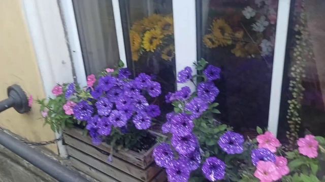 влог о том, как я чуть не лишилась ног или 30 000 шагов челлендж смотреть онлайн