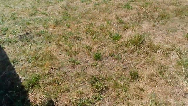 СБОР ВТОРСЫРЬЯ ПОСЛЕ РАБОТЫ, КВЕСТ Х-5 смотреть онлайн