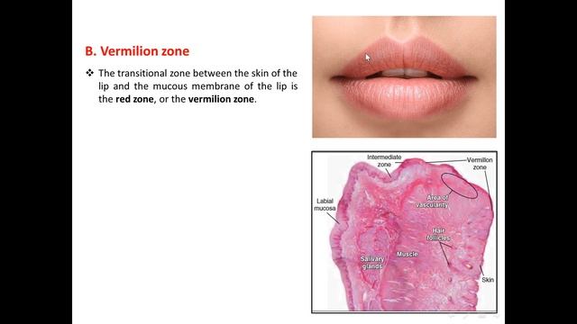 Oral. 10 смотреть онлайн