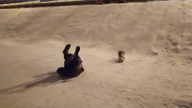 Покатались с горки.. смотреть онлайн