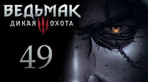 The Witcher 3 / Ведьмак 3 - Хозяйки леса - Прохождение игры на русском [#49] | PC (2017 г.)