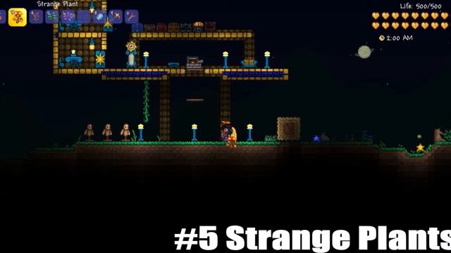 Terraria Console/Wii U/3DS | Strange Plants Upcoming 1.3 Features смотреть онлайн
