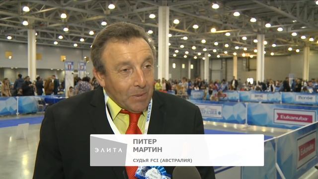 Спиноне итальяно – собака с человеческим лицом смотреть онлайн
