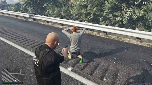 GTA 5 ПОЛИЦЕЙСКИЙ ПАТРУЛЬ смотреть онлайн