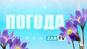 Прогноз погоды на 24 мая 2023 года