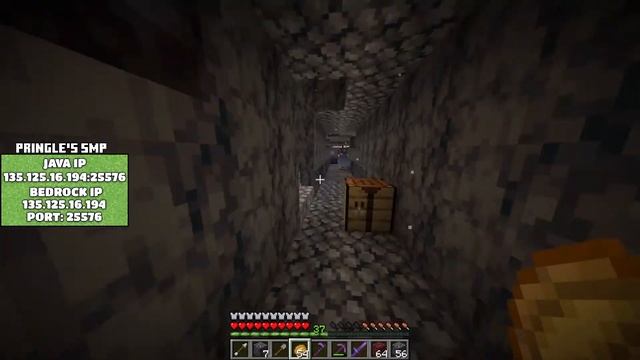 MINECRAFT PRINGLES SMP - LIVE WITH VIEWERS - BEDROCK AND JAVA SUPPORT #8 смотреть онлайн