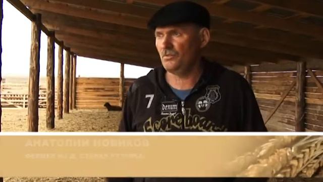 О хлебе насущном от 19.05.17