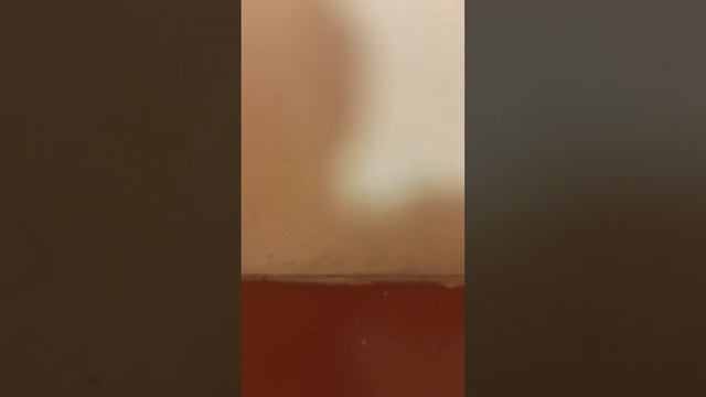 топ 4 штучки для человека смотреть онлайн