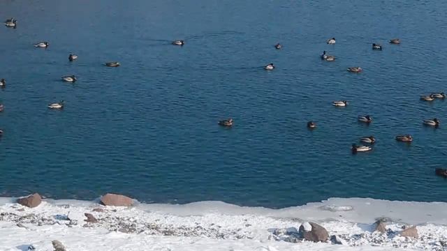 Дивногорск (7ой кадр) смотреть онлайн