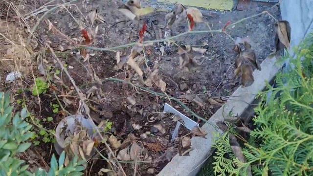 Как Сделать Мастерскими Руками