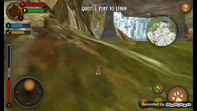 Cats Of The Forest.Коты в лесу #2.Рождение котёнка.