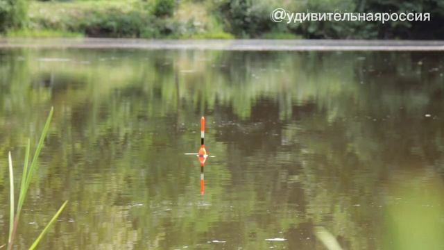 2 дня на Диком озере. Одиночный поход под проливным дождем. Рыбалка, приготовление пищи