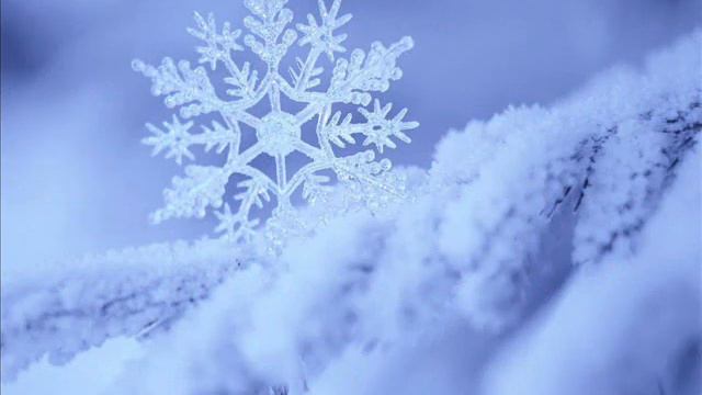 ЛИЛЕЧКЕ В ДЕНЬ РОЖДЕНИЯ смотреть онлайн