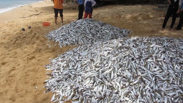 рыбалка по вьетнамски (Vietnam, Phu Quoc 2012) смотреть онлайн